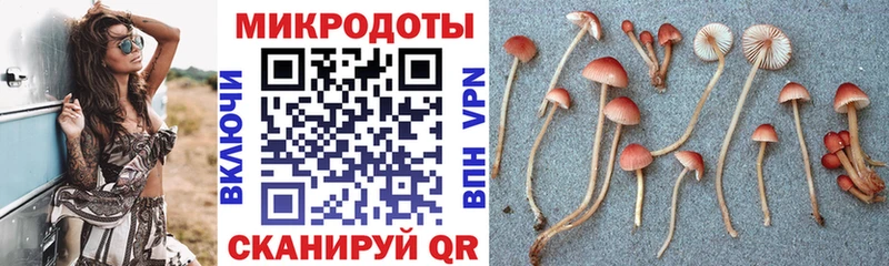 KRAKEN ONION Удомля Псилоцибиновые грибы GOLDEN TEACHER
